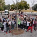 La campaña de plantación de árboles de Educación llevará 84 nuevos ejemplares a los colegios del municipio