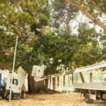 El Ayuntamiento regulará el arbolado ornamental de parques y jardines y los rodajes audiovisuales