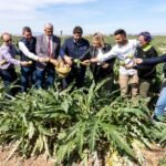 Cartagena muestra orgullosa sus alcachofas en la IV edición de ‘El colmo de los colmos’