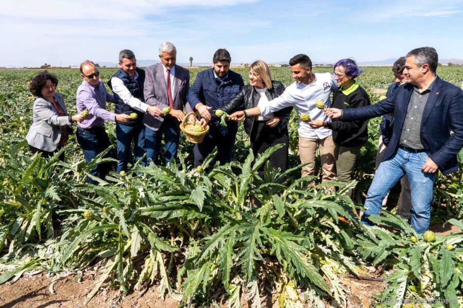 Cartagena muestra orgullosa sus alcachofas en la IV edición de ‘El colmo de los colmos’ Cartagena muestra orgullosa sus alcachofas en la IV edición de ‘El colmo de los colmos’
