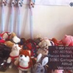 La Policía Local de Cartagena decomisa peluches por peligro de asfixia en menores en mercadillos ambulantes