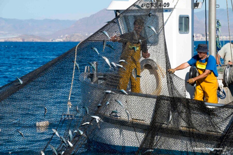 Se inicia el expediente para declarar BIC inmaterial a la Almadraba de La Azohía Se inicia el expediente para declarar BIC inmaterial a la Almadraba de La Azohía