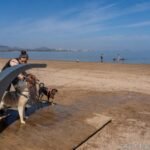 Cartagena ya tiene listas sus tres playas caninas con lavaperros en La Manga y Los Nietos