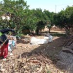 El Ayuntamiento inicia 59 procedimientos sancionadores por infracciones en la ordenanza de Limpieza Urbana en Cartagena El Ayuntamiento inicia 59 procedimientos sancionadores por infracciones en la ordenanza de Limpieza Urbana en Cartagena