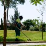 La Junta de Gobierno adjudica en 4 lotes el nuevo contrato de jardines, que asciende a 40 millones de euros La Junta de Gobierno adjudica en 4 lotes el nuevo contrato de jardines, que asciende a 40 millones de euros