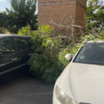 Daños en vehículos al caer ramas por viento en José María Lapuerta