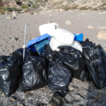 El Ayuntamiento de Cartagena limpia Cala Salitrona en Cabo Tiñoso