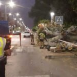 El episodio de tormentas y viento se salda sin daños personales en Cartagena