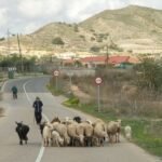 CEMEX comunica a la alcaldesa su renuncia a realizar sondeos en la zona oeste de Cartagena