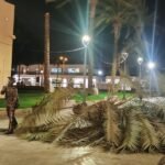 Un incendio en Las Matildes afecta a tres hectáreas de monte y el viento provoca caídas de arbolado en Cartagena