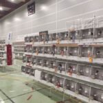 Los cartageneros Ginés Pedreño, Miguel Ángel Parra y Pedro Madrid, entre los campeones del IX Campeonato Ornitológico de la Región de Murcia Los cartageneros Ginés Pedreño, Miguel Ángel Parra y Pedro Madrid, entre los campeones del IX Campeonato Ornitológico de la Región de Murcia