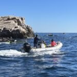 Clubes de Águilas y Valencia ganan la travesía a remo del puerto de Cartagena