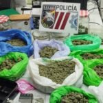 Policía Local decomisa casi 2 kilos de marihuana en San Félix e intercepta un coche con setas alucinógenas en La Aljorra Policía Local decomisa casi 2 kilos de marihuana en San Félix e intercepta un coche con setas alucinógenas en La Aljorra