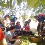 La Universidad Popular lanza visitas guiadas y rutas gratuitas por Cartagena