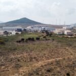 FREMM construirá y gestionará el futuro Centro de Formación Industrial de Cartagena FREMM construirá y gestionará el futuro Centro de Formación Industrial de Cartagena
