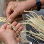 Cartagena impulsa la recuperación del esparto con 1,5 millones de fondos europeos Cartagena impulsa la recuperación del esparto con 1,5 millones de fondos europeos