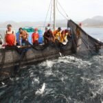 La defensa de la pesca artesanal será protagonista esta tarde en Cartagena con la proyección de un documental