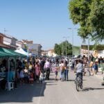 Unos 300 colectivos vecinales y sociales se benefician de las ayudas previstas por el Ayuntamiento para este año 2024 Unos 300 colectivos vecinales y sociales se benefician de las ayudas previstas por el Ayuntamiento para este año 2024
