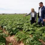 El pleno municipal respalda la patata cartagenera manifestado su apoyo unánime