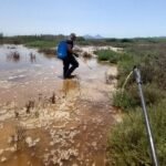 Cartagena refuerza el control del mosquito tigre y detecta aumento de focos en parcelas privadas Cartagena refuerza el control del mosquito tigre y detecta aumento de focos en parcelas privadas
