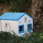 El Ayuntamiento presenta un programa para controlar las colonias felinas