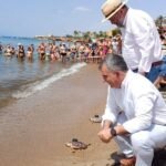 Devueltas al mar otros 20 ejemplares de tortuga boba con seguimiento por satélite para estudiar sus pautas migratorias Devueltas al mar otros 20 ejemplares de tortuga boba con seguimiento por satélite para estudiar sus pautas migratorias