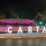 Cartagena se ilumina de fucsia con motivo del Día Mundial del Síndrome de Turner Cartagena se ilumina de fucsia con motivo del Día Mundial del Síndrome de Turner