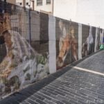 El Gobierno activa este lunes el mecanismo legal para forzar la construcción en los solares del Casco Histórico