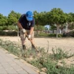 El Ayuntamiento hará en 2025 un proyecto de empleabilidad para acondicionar espacios públicos en los siete distritos