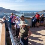Cartagena Puerto de Culturas recibe en lo que llevamos de año 1.500 visitas más que en 2023 Cartagena Puerto de Culturas recibe en lo que llevamos de año 1.500 visitas más que en 2023