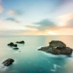 Cartagena acoge el congreso de la Asociación Española de Fotógrafos de Naturaleza Cartagena acoge el congreso de la Asociación Española de Fotógrafos de Naturaleza