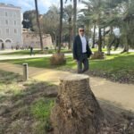 La política arboricida de Noelia Arroyo vive mañana un nuevo episodio con la tala de eucaliptos en la carretera de la Algameca La política arboricida de Noelia Arroyo vive mañana un nuevo episodio con la tala de eucaliptos en la carretera de la Algameca