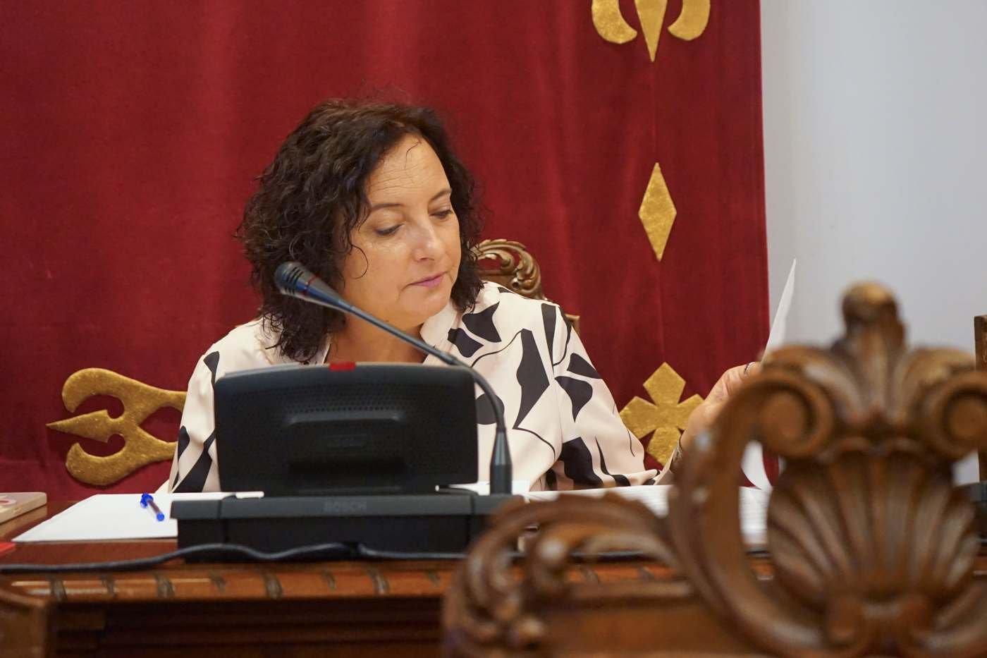 MC consigue el apoyo del Pleno para exigir la reapertura total del Parque de Los Canales 14 IMG 8947