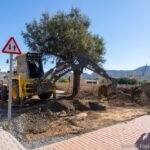 El Ayuntamiento repone más de 300 árboles por todo el municipio El Ayuntamiento repone más de 300 árboles por todo el municipio