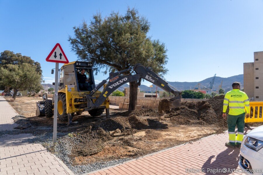 El Ayuntamiento repone más de 300 árboles por todo el municipio El Ayuntamiento repone más de 300 árboles por todo el municipio