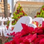 Más de 30.000 plantas engalanan Cartagena durante las fiestas navideñas