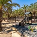 La empresa Pórfidos y Riesgos Asfálticos recuperará el Palmeral de Cabo de Palos por  313.000 euros La empresa Pórfidos y Riesgos Asfálticos recuperará el Palmeral de Cabo de Palos por  313.000 euros