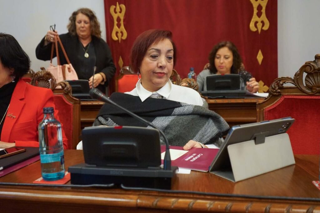 El comercio local de Cartagena, ante un futuro incierto por la inacción del gobierno de Arroyo El comercio local de Cartagena, ante un futuro incierto por la inacción del gobierno de Arroyo