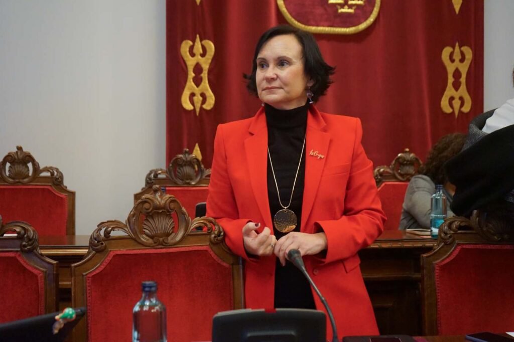 La última Junta de Gobierno local de este año vuelve a poner de manifiesto la incompetente gestión de Arroyo La última Junta de Gobierno local de este año vuelve a poner de manifiesto la incompetente gestión de Arroyo