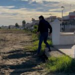 Un litoral lleno de deficiencias en pleno puente de diciembre es el ejemplo de la Gran Cartagena que vende el PP Un litoral lleno de deficiencias en pleno puente de diciembre es el ejemplo de la Gran Cartagena que vende el PP