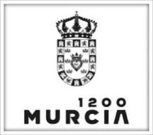 Movimiento Ciudadano (MC) anuncia la creación de MC Murcia 2 mc murcia