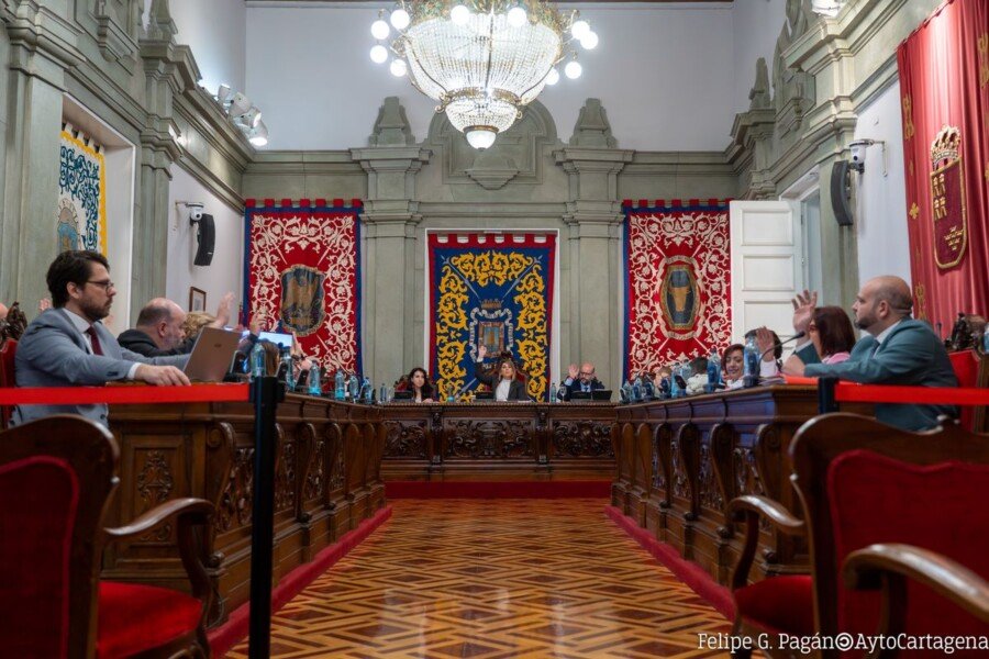 El pleno declara su apoyo a la continuidad del Parque Rafael de la Cerda en los Canales