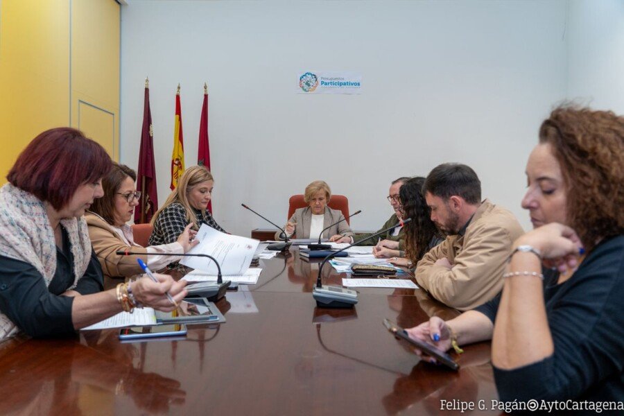 La Comisión de Sugerencias y Reclamaciones registra una media mensual de 45 expedientes, con mayor incidencia en verano