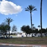 Los trabajos de mantenimiento del Ayuntamiento en tres rotondas estratégicas mejorarán la seguridad vial y la imagen urbana