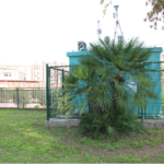 Superado el umbral de información por partículas en suspensión en Campo de Cartagena y Mar Menor