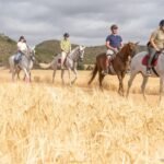 Más de cien actividades para jóvenes de Cartagena esta primavera con el T-LA Más de cien actividades para jóvenes de Cartagena esta primavera con el T-LA