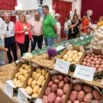 El Ayuntamiento impulsa la protección de la Patata Temprana del Campo de Cartagena con la vista puesta en la IGP