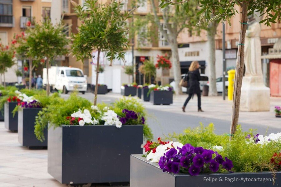 El Ayuntamiento de Cartagena engalana la ciudad con 30.000 flores para la Semana Santa El Ayuntamiento de Cartagena engalana la ciudad con 30.000 flores para la Semana Santa