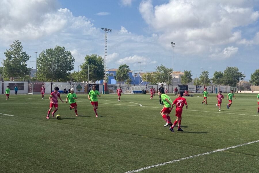 A.D. Franciscanos, A.D. Barrio Peral y E.F. Torre Pacheco avanzan hacia el título en fase «oro» y «plata» de alevines «B» A.D. Franciscanos, A.D. Barrio Peral y E.F. Torre Pacheco avanzan hacia el título en fase «oro» y «plata» de alevines «B»