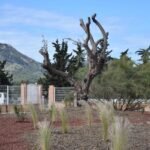 La isleta de la calle Picos de Europa se renueva por completo mejorando su estética
